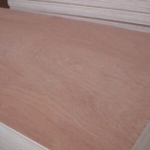 beech plywood price